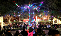 Mission San Jose Chamber of Commerce Tree Lighting 2-Dec-2017
