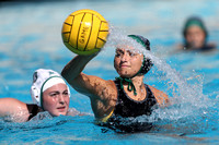 Women's Water Polo 2024