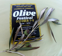 Olive Festival - October 2023