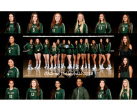 Ohlone Volleyball 2018